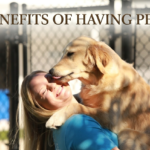 Benefits of Having Pets