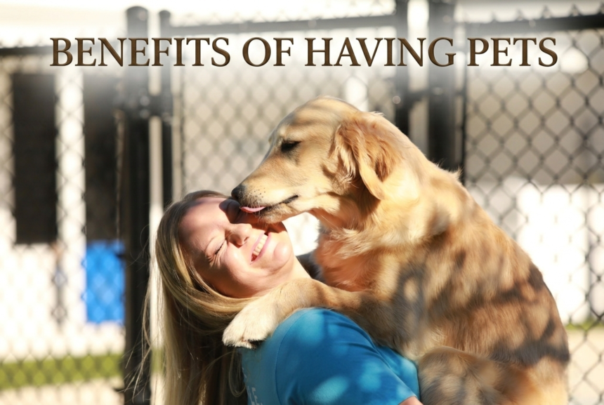 Benefits of Having Pets